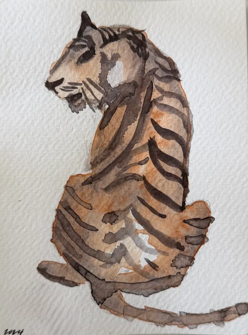 Curious Tiger