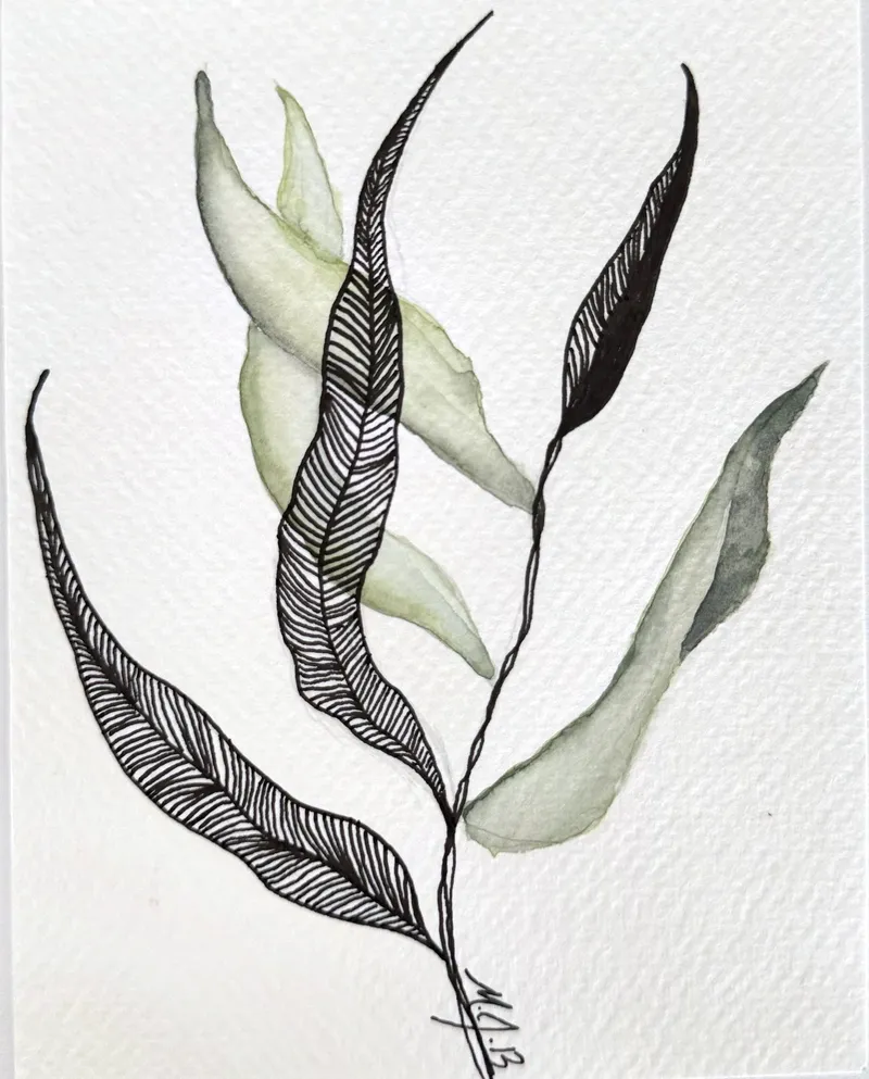 Leaves
