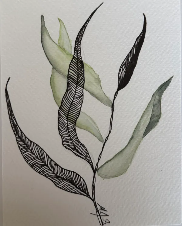 Leaves
